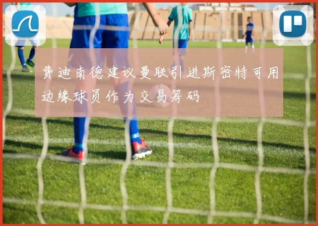费迪南德建议曼联引进斯密特可用边缘球员作为交易筹码